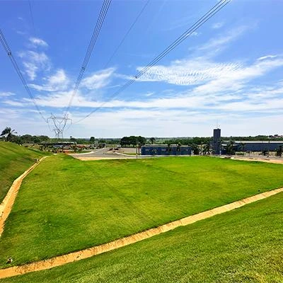 Grama natural para casas em São Paulo