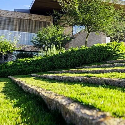 Grama natural para quintal