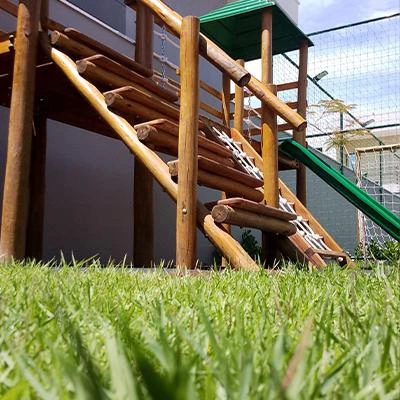 Grama natural para varandas em São Paulo