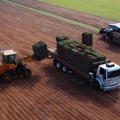 Grama em placa para áreas comerciais