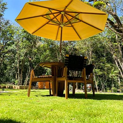 Grama zeon preço m2