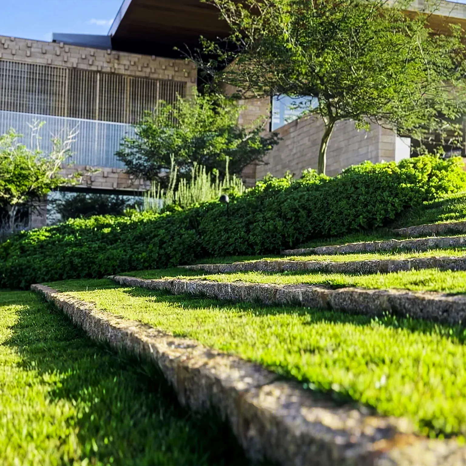 Imagem de Qually Grama